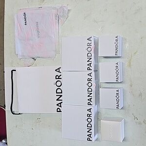 EMPTY Pandora Boxes and Bags